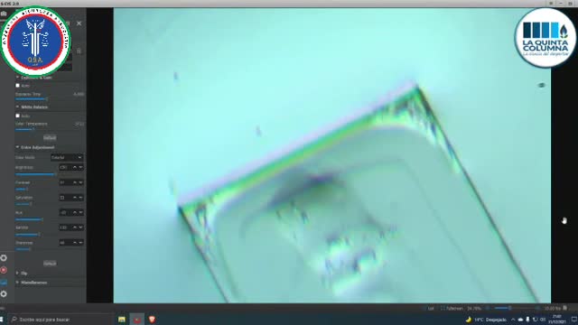 Vaccino al microscopio