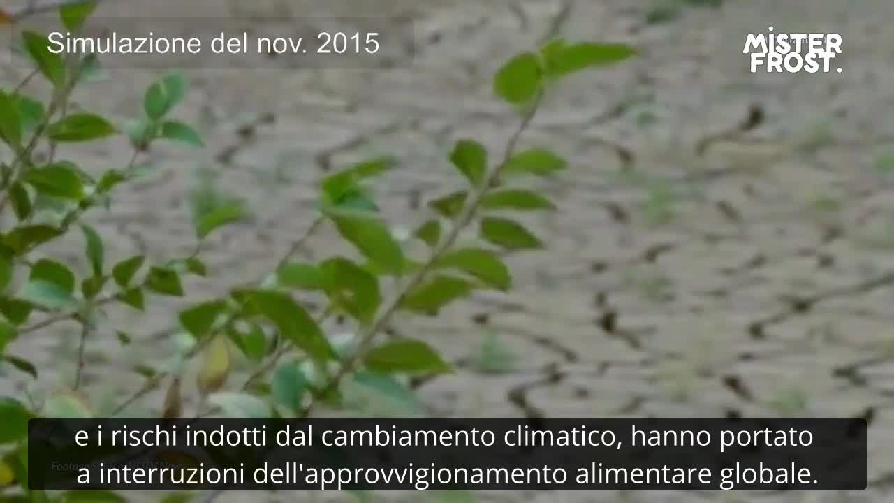 La fine e l' inizio - Seconda parte