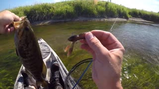 Great fishing story