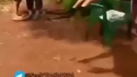 PARAGUAY, BEBÉ Y SU MADRE MUEREN POR LA KAKUNA ASESINA