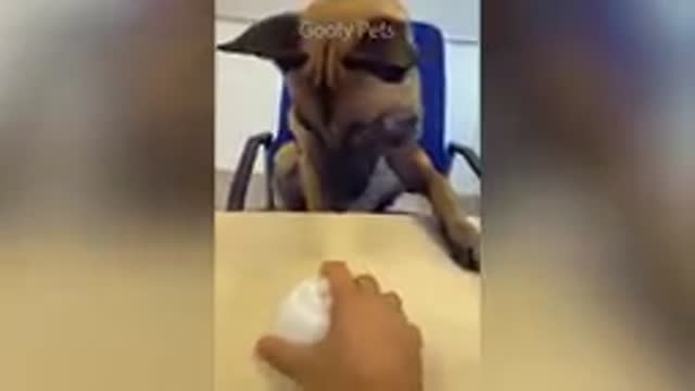 compilation # 17 and funny