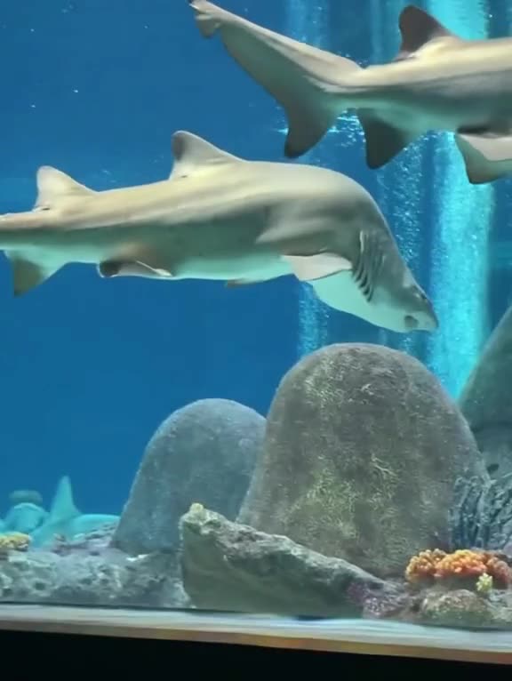 Good mattress and good sleep posture very important