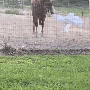 He gets into everything