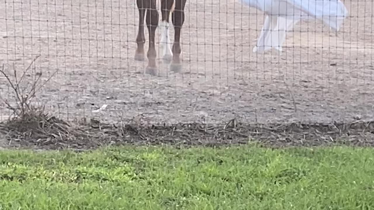 He gets into everything