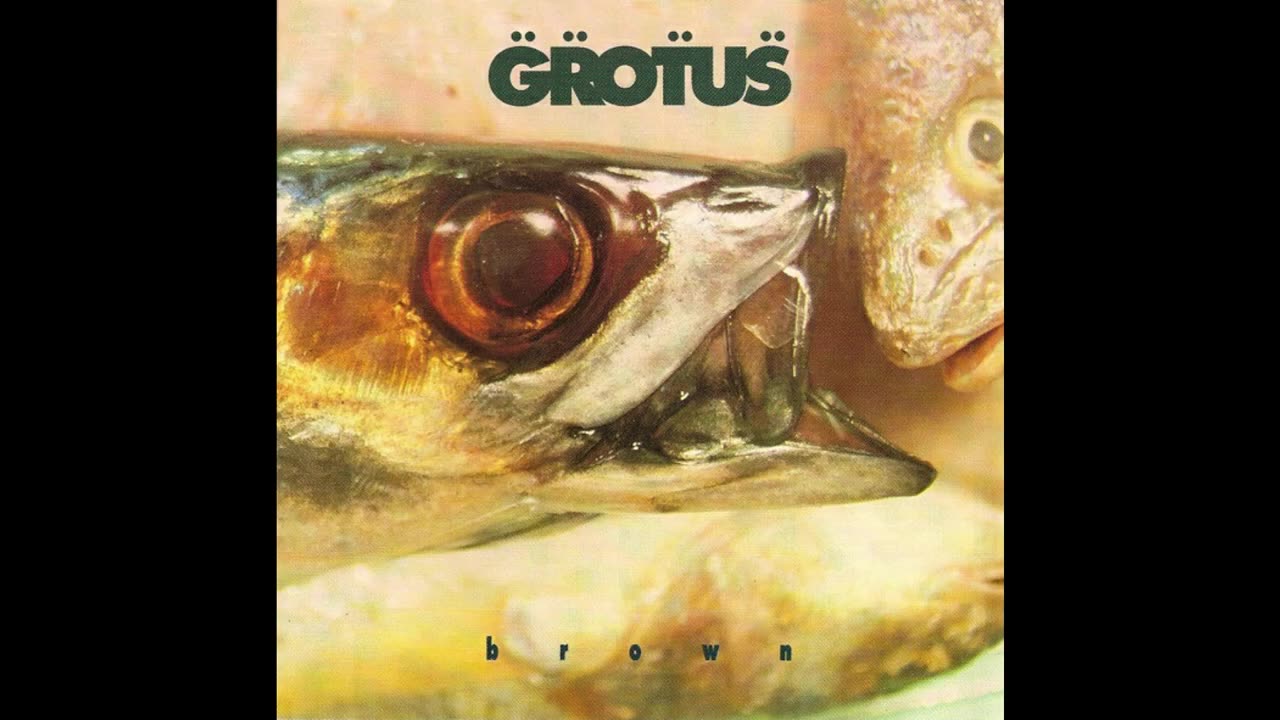 Grotus - Brown