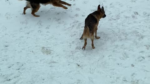 Henry vs Old man who just wants to poop