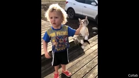 The Best Of The Internet (2023)