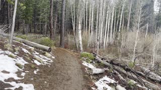 Wilderness Adventuring Along Deschutes River Trail – Central Oregon – 4K