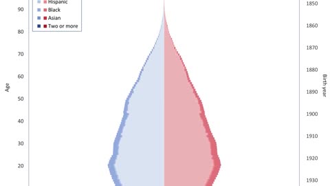 USA Racial Composition Population Pyramid 1900-2020