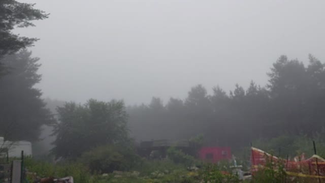 Misty morning