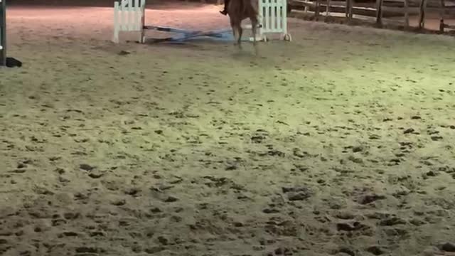 Emma Riding 2020 Thomas’s School of Horsemanship 6