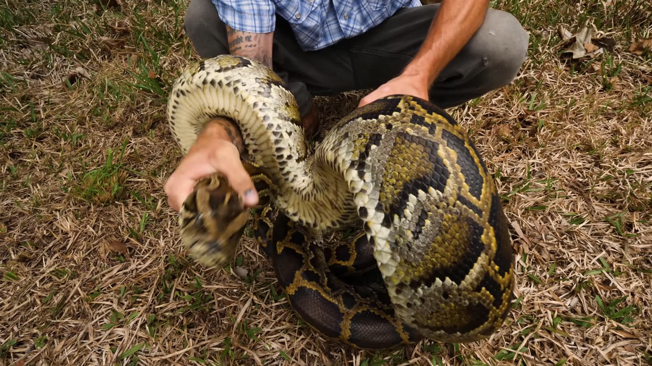 Catching and COOKING Florida’s MOST Dangerous Killer! (HAND CAUGHT!!!)