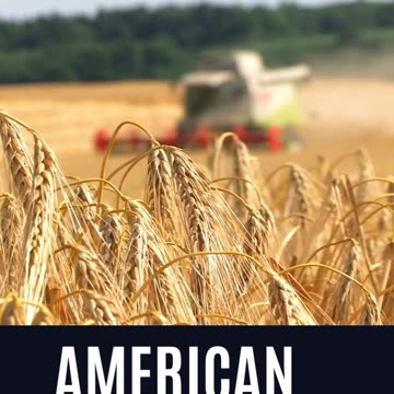 Majority Votes Courtesy, Respect, Civility