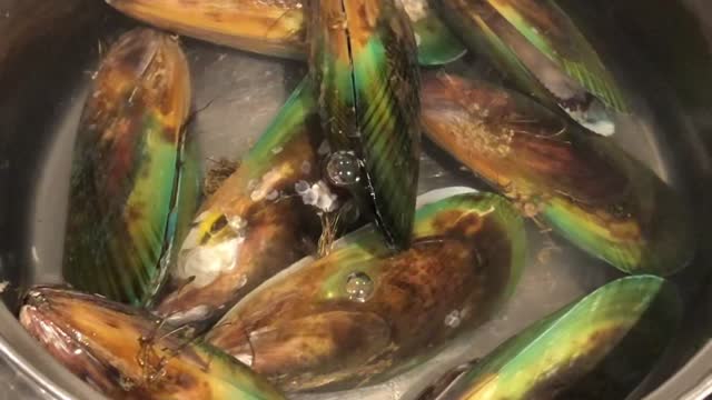 The famous green mussels in New Zealand