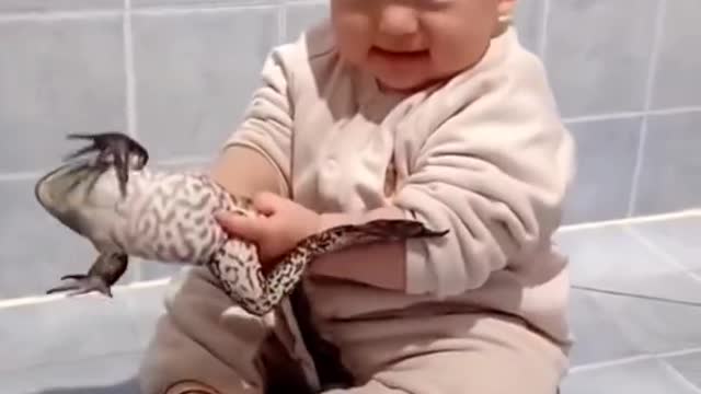 Cute baby video, funny videos