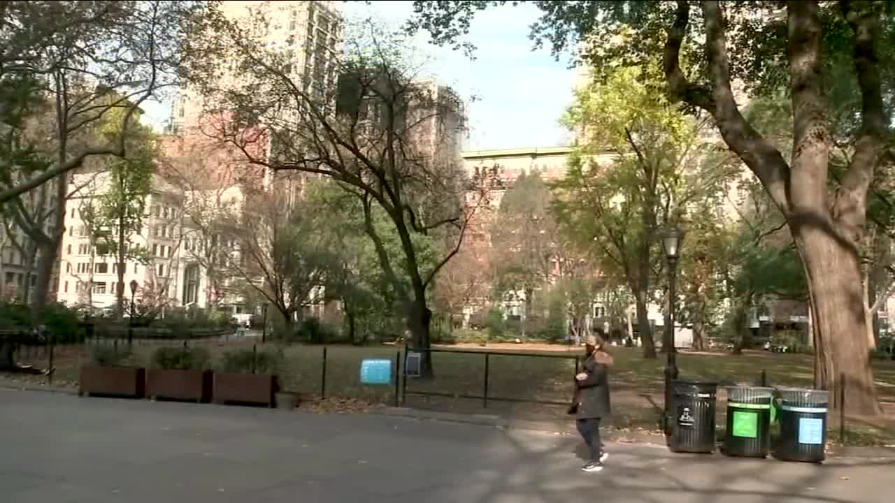 Man uses martial arts to thwart attempted kidnapping in NYC park