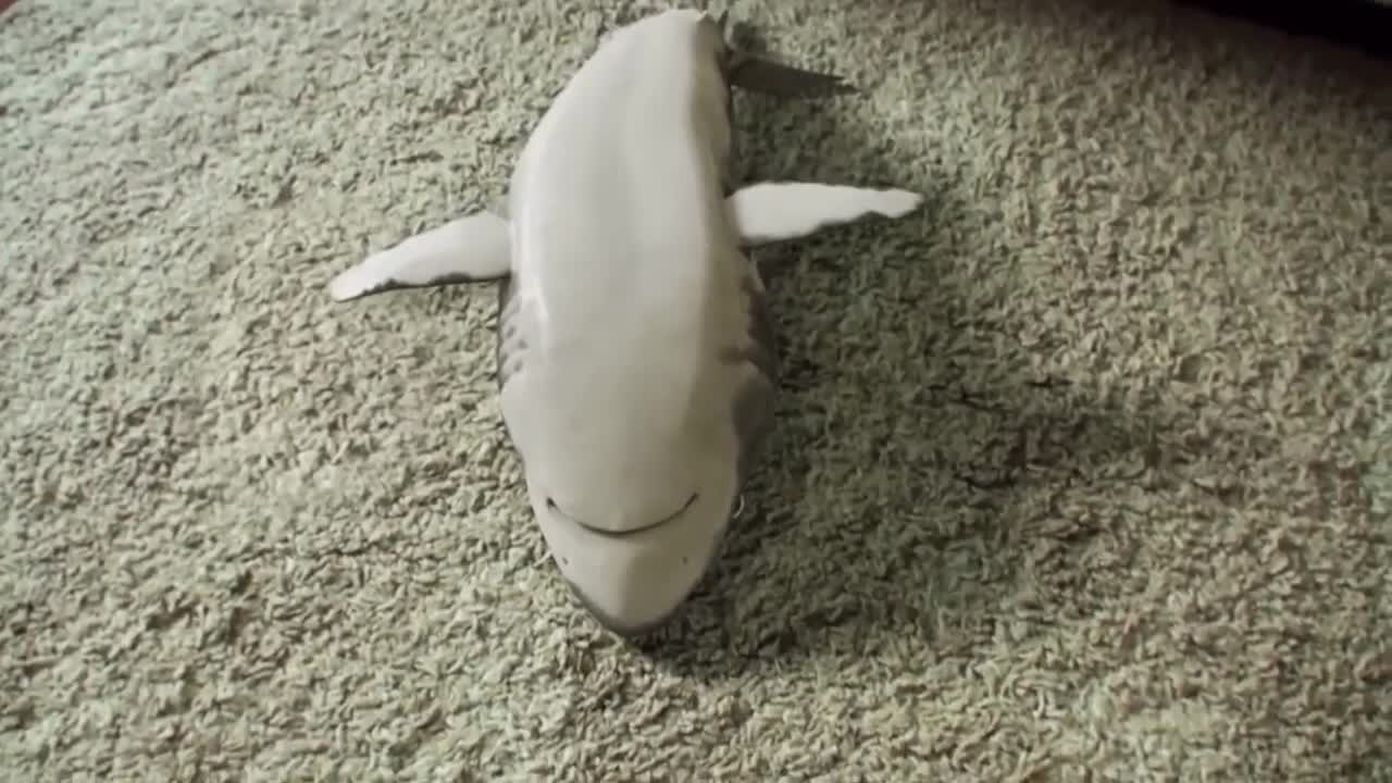 cute baby shark, happy and funny. cute baby shark.