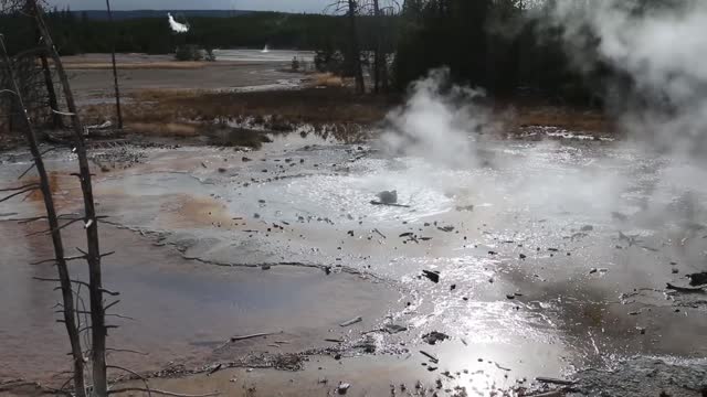 Yellowstone National Park Tour