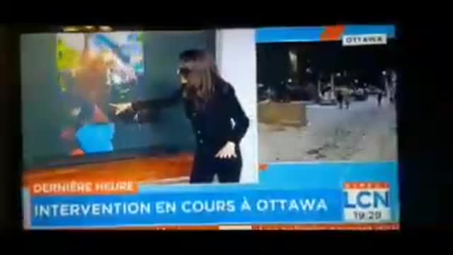 LCN : « les gens se mettent dans les jambes des chevaux »...