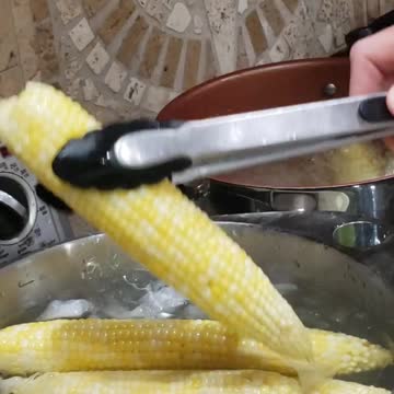 Harvest corn 🌽🌽 in under 40 seconds