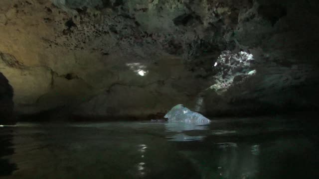 Cave Swimming Xel-Ha Park Lagoon Mexico Carribean