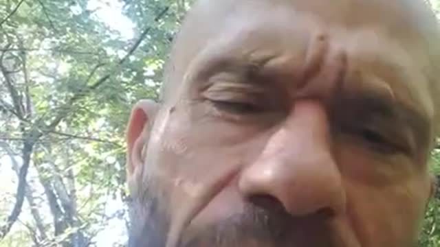 POVERI I CANI DEI SENZATETTO SENZA PUNTURINI... - Pietro Bisanti 15/07/2022