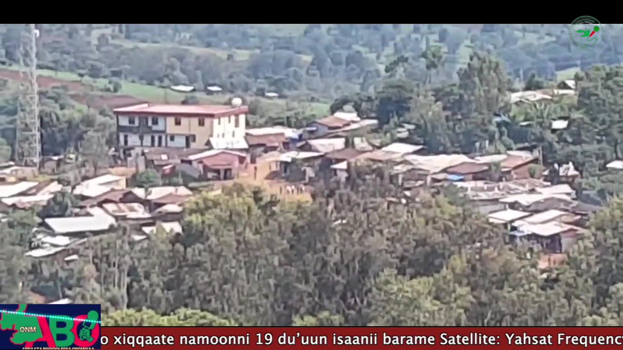 Oduu Ganama ONM-ABO Adoolessa 31-2024 itti dhiyaadhaa!