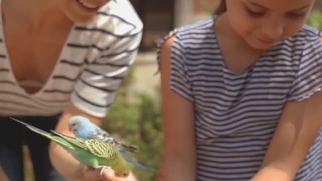 Cute Parrot | rumble video#rumble #rumble Shorts #Shorts