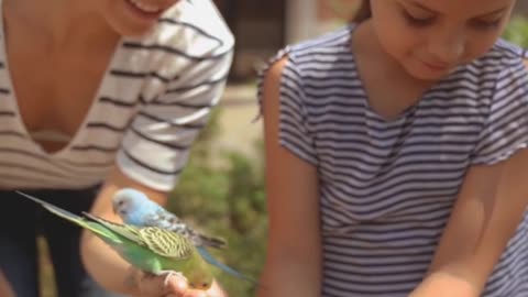 Cute Parrot | rumble video#rumble #rumble Shorts #Shorts