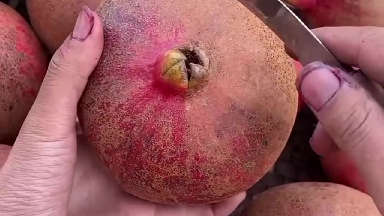 Most amazing ripe fruit | shorts | food