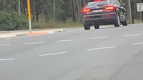 Driver Chooses Odd Spot to Stop for Red Light