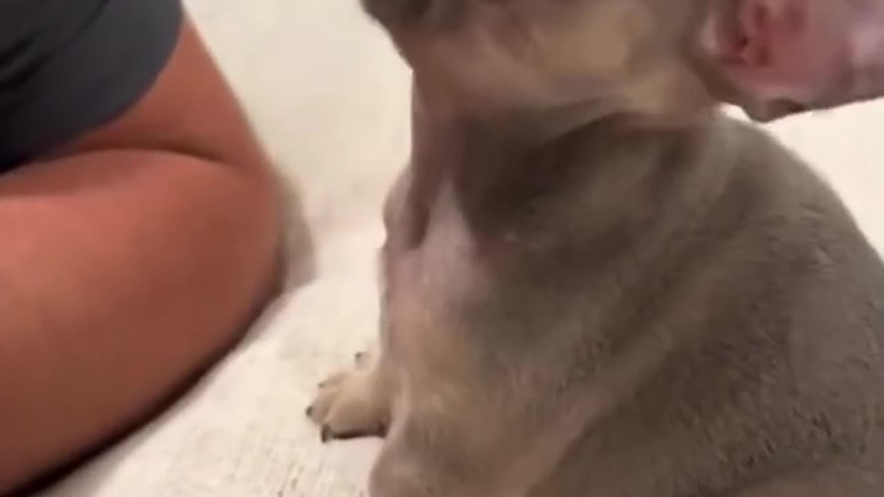 Funny Video