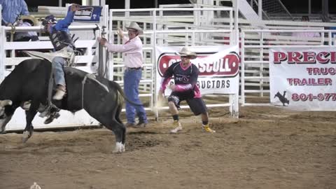 Editorial cowboy riding big bull at the PRCA Oakley rodeo slow motion