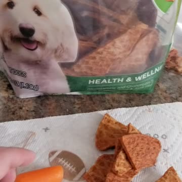 Leave It Liberty! Dog