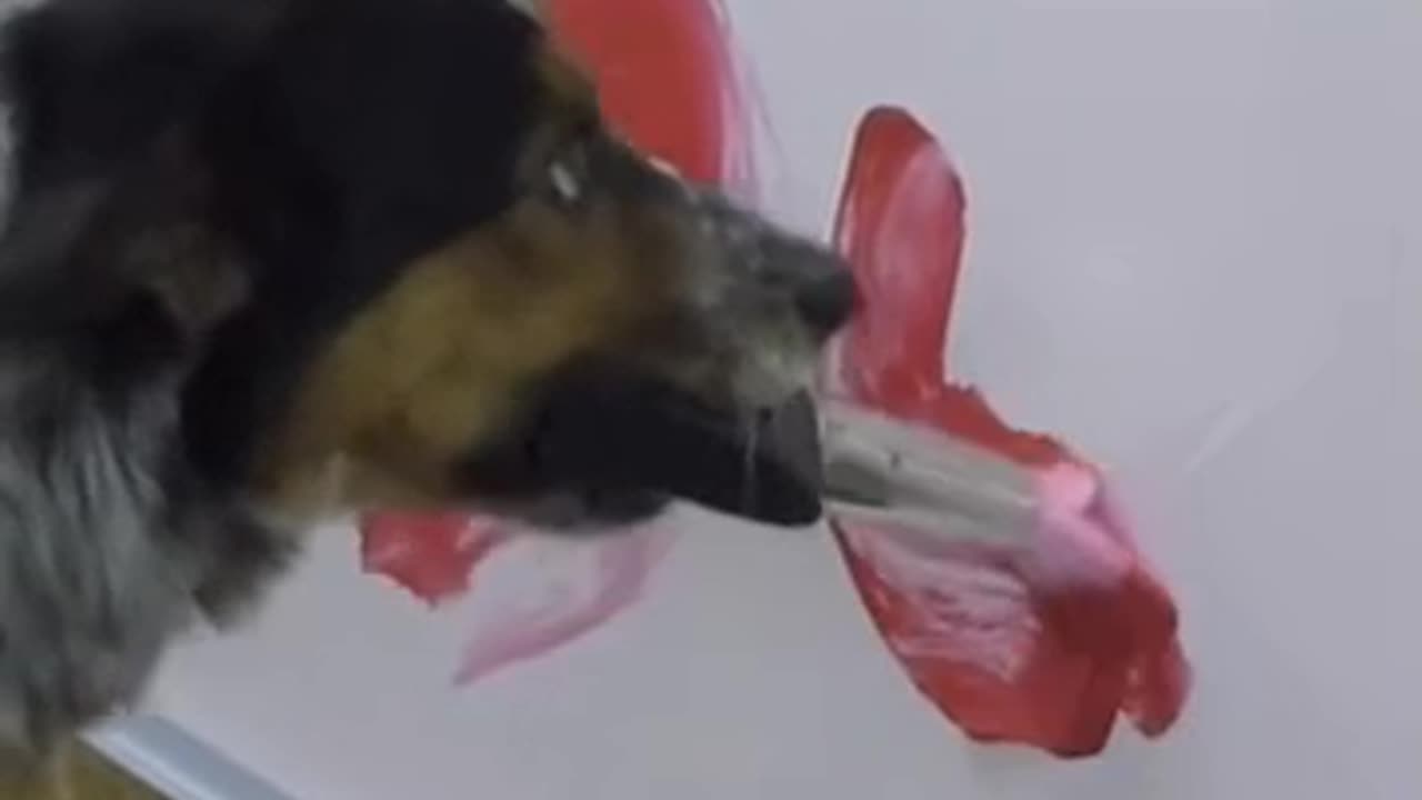 WOW 😮 WATCH THIS DOG DRAW ✍️ WITH PAINT BRUSH