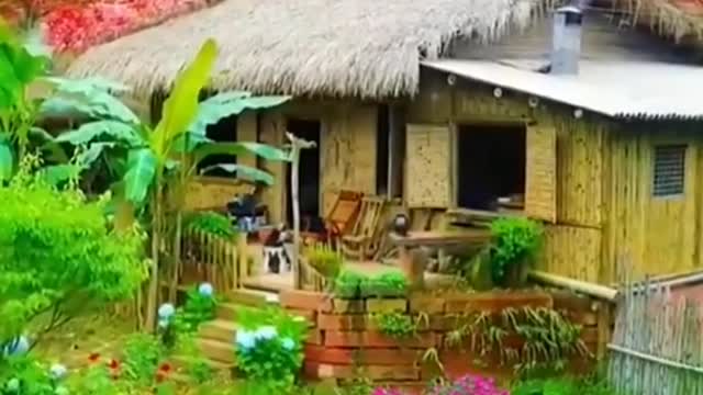 Nature with Formulas House