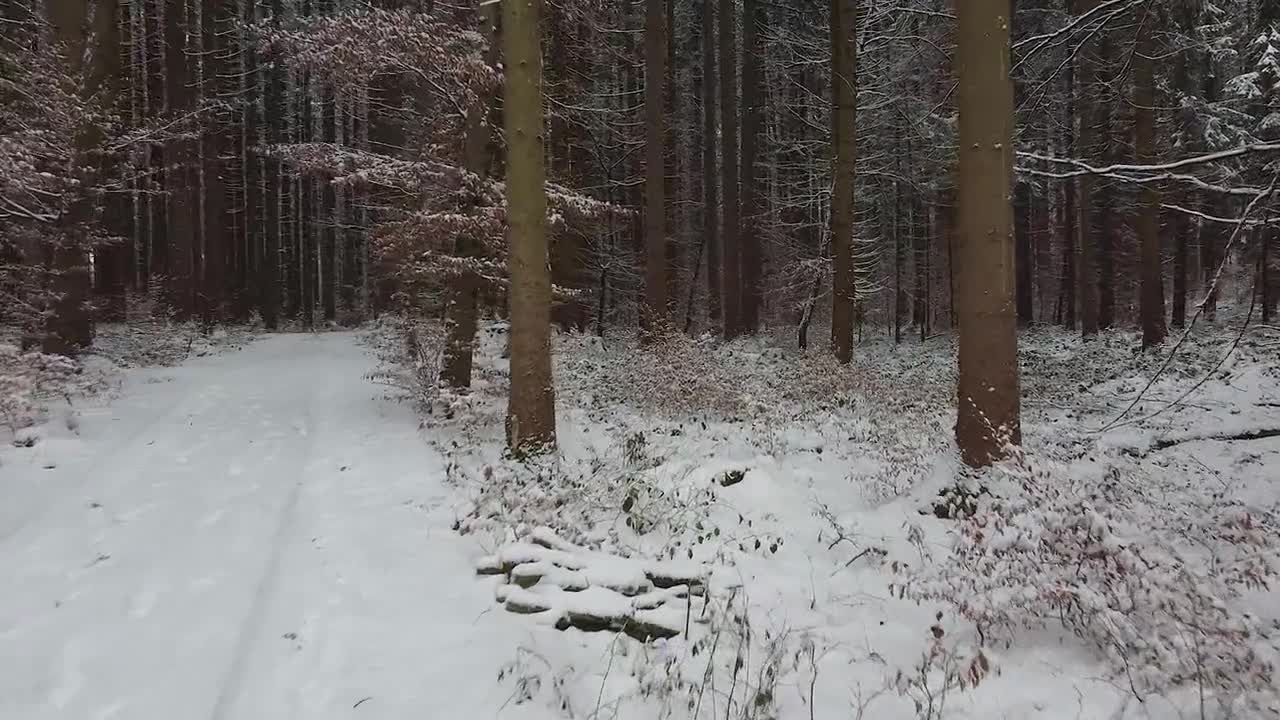 Nature