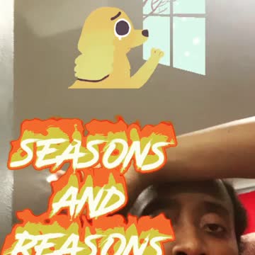 Seasons and reasons