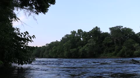 nature vid at Island Ford