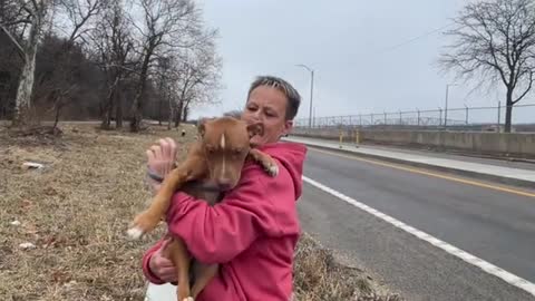 Dog Found in ditch Ned's help