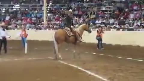 Horse Skidding