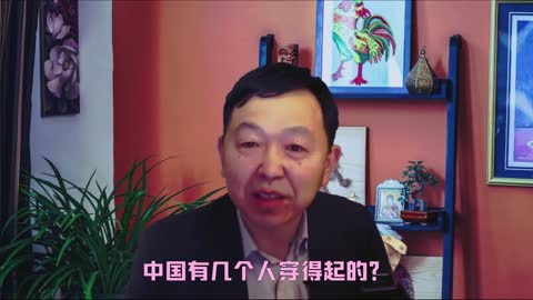 假破产玩弄司法敲骨吸髓，瘟龟饮鸩止渴自讨苦吃