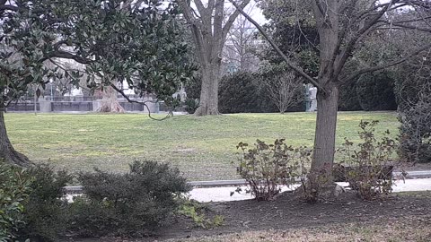 0679USCG00SEDriveExit_2021-01-06_08h22min50s553ms.mp4
