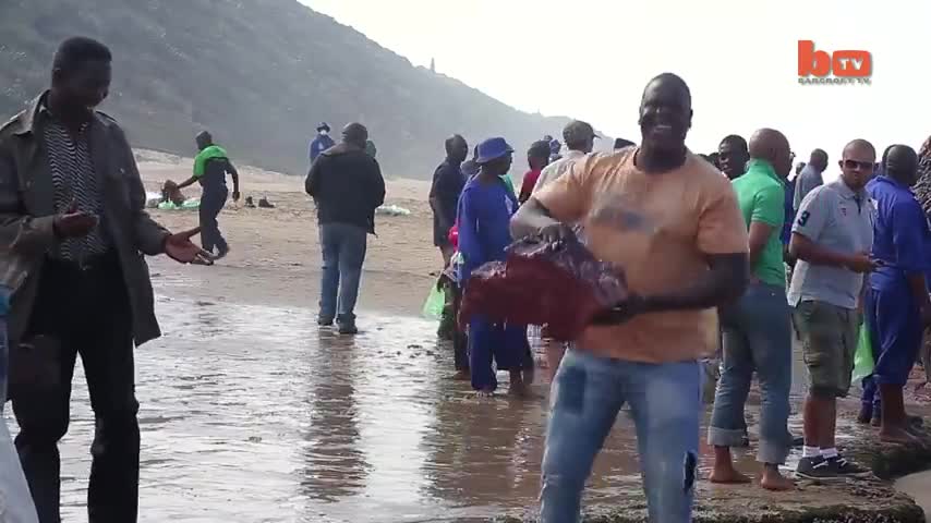 beached whale 🐋 carcass turn apart by local people