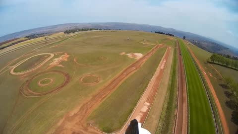 Bird Buzzes Glider