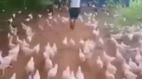 new best funy video 2021