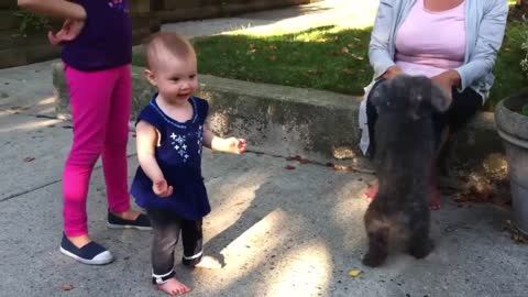 Children Funny Video