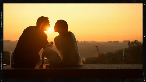 A couple in love witching romantic sunset,a loving couple with a dog,sitting on a fence,