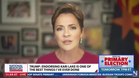 Kari Lake on Newsmax