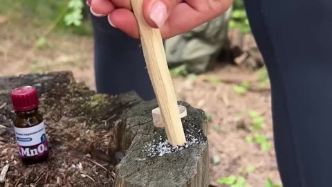 GIRL survives in the forest 🔥#camping #survival #bushcraft #outdoors #fire